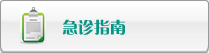 日B网址
